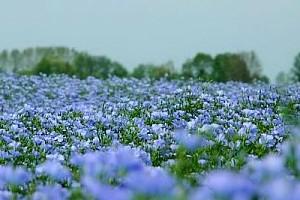 Conférences Conférences